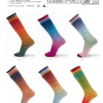 Concept by Katia Symmetric Sock & More Degrade